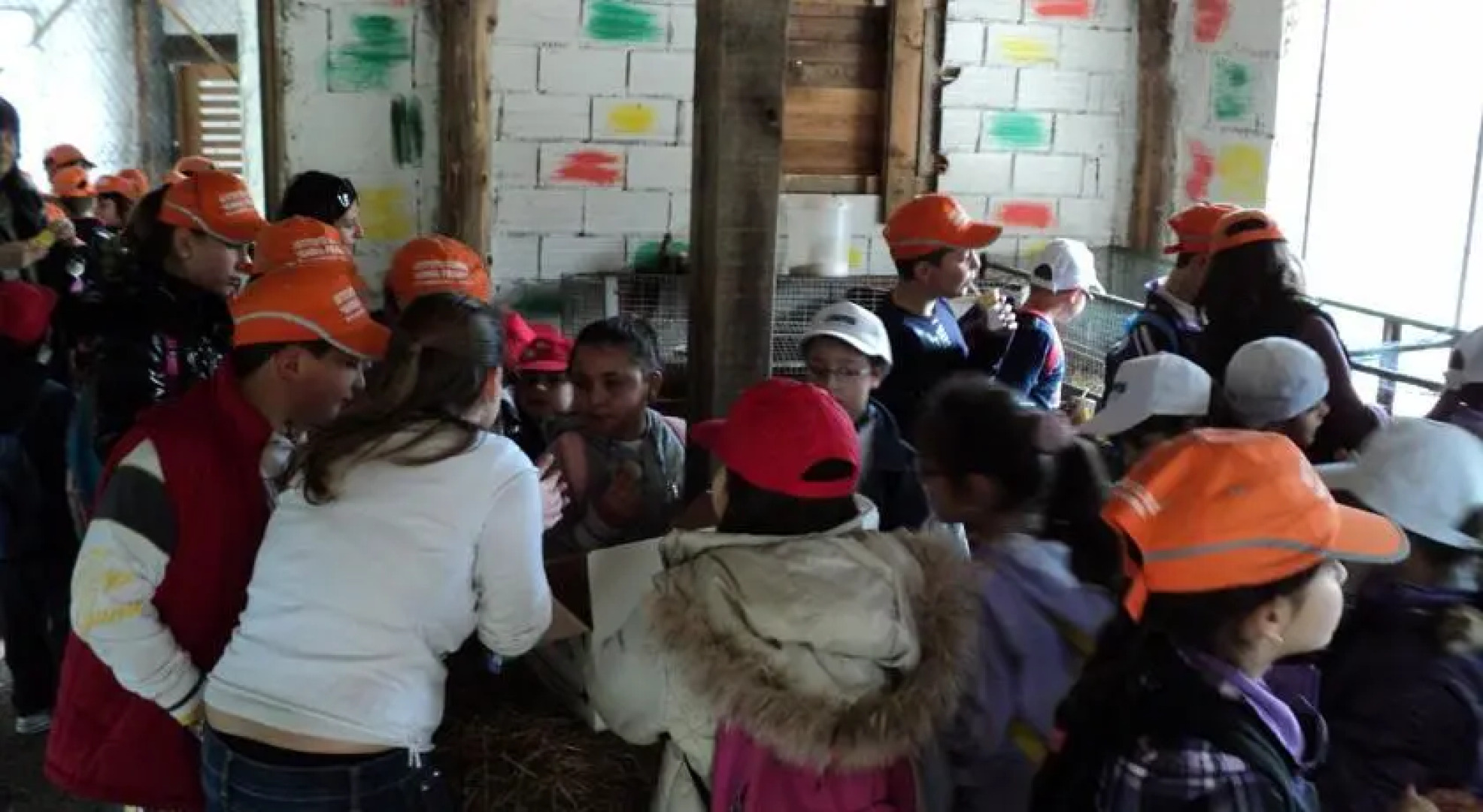 Tenuta Valle Delle Ginestre