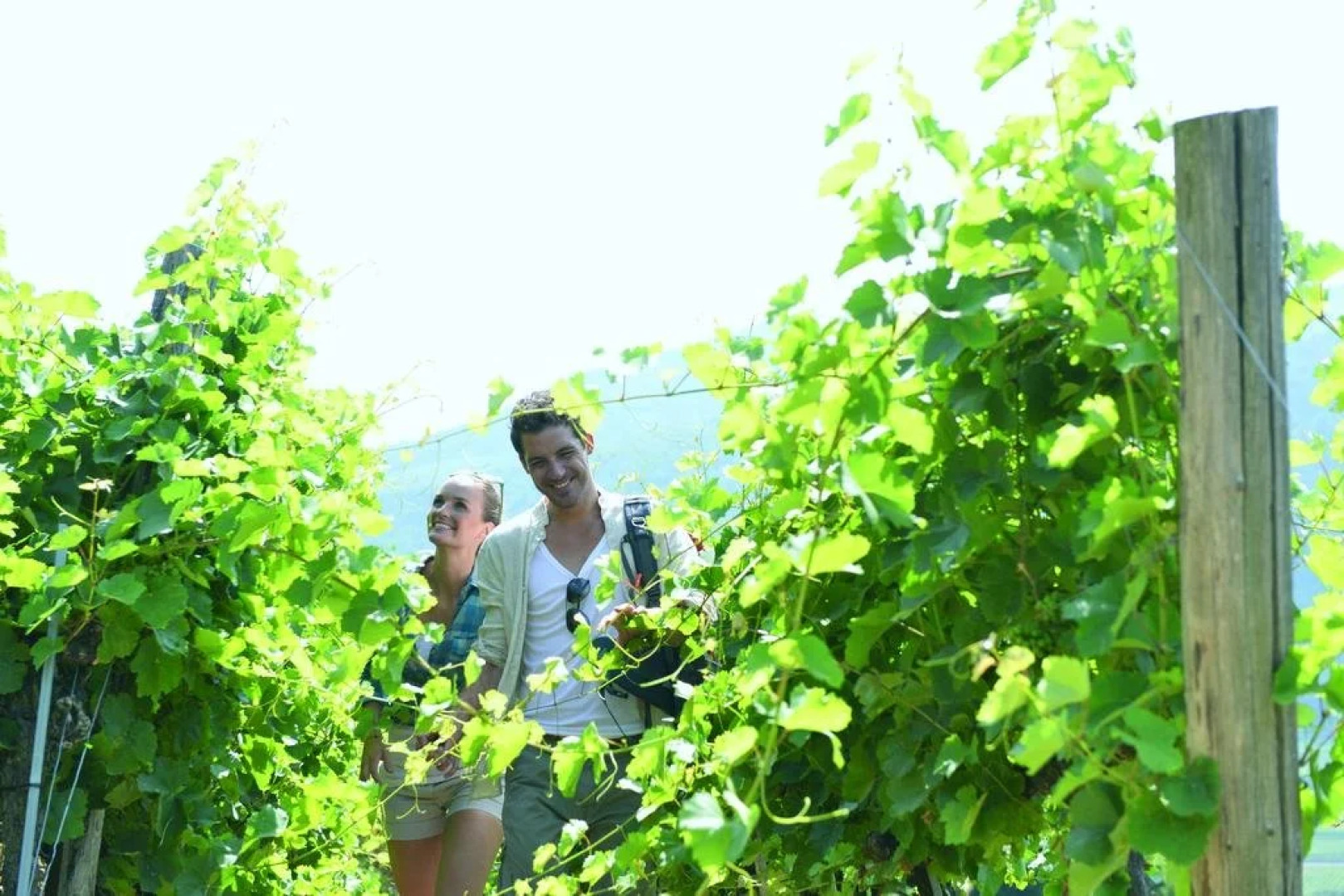 Landhotel Donautalblick