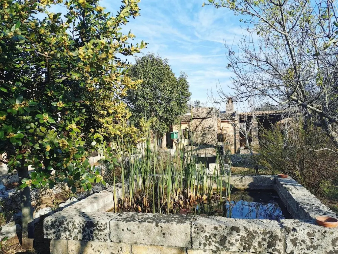 Masseria Borgo del Gallo