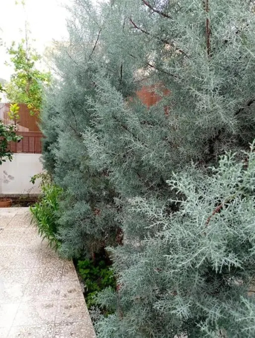 ΤΟ ΔΙΑΜΕΡΙΣΜΑ ΤΗΣ ΜΑΙΡΗΣ or MARY'S APARTMENT