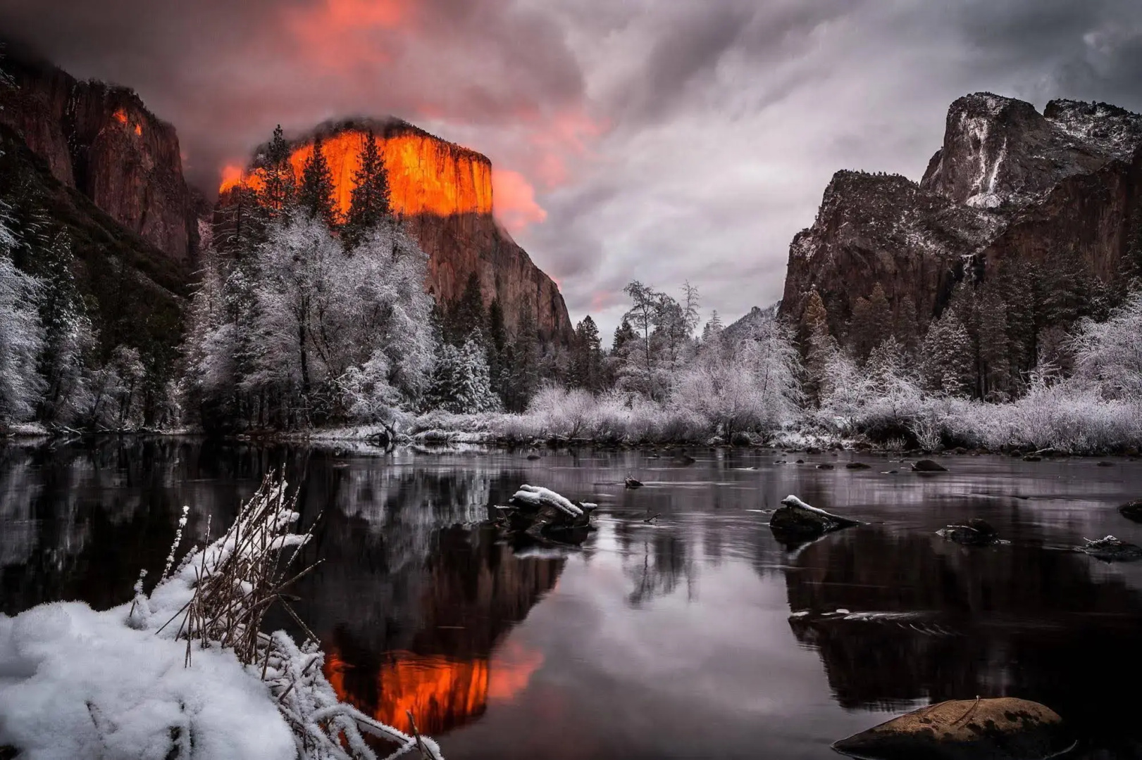 Inside Yosemite Spring Wonderland
