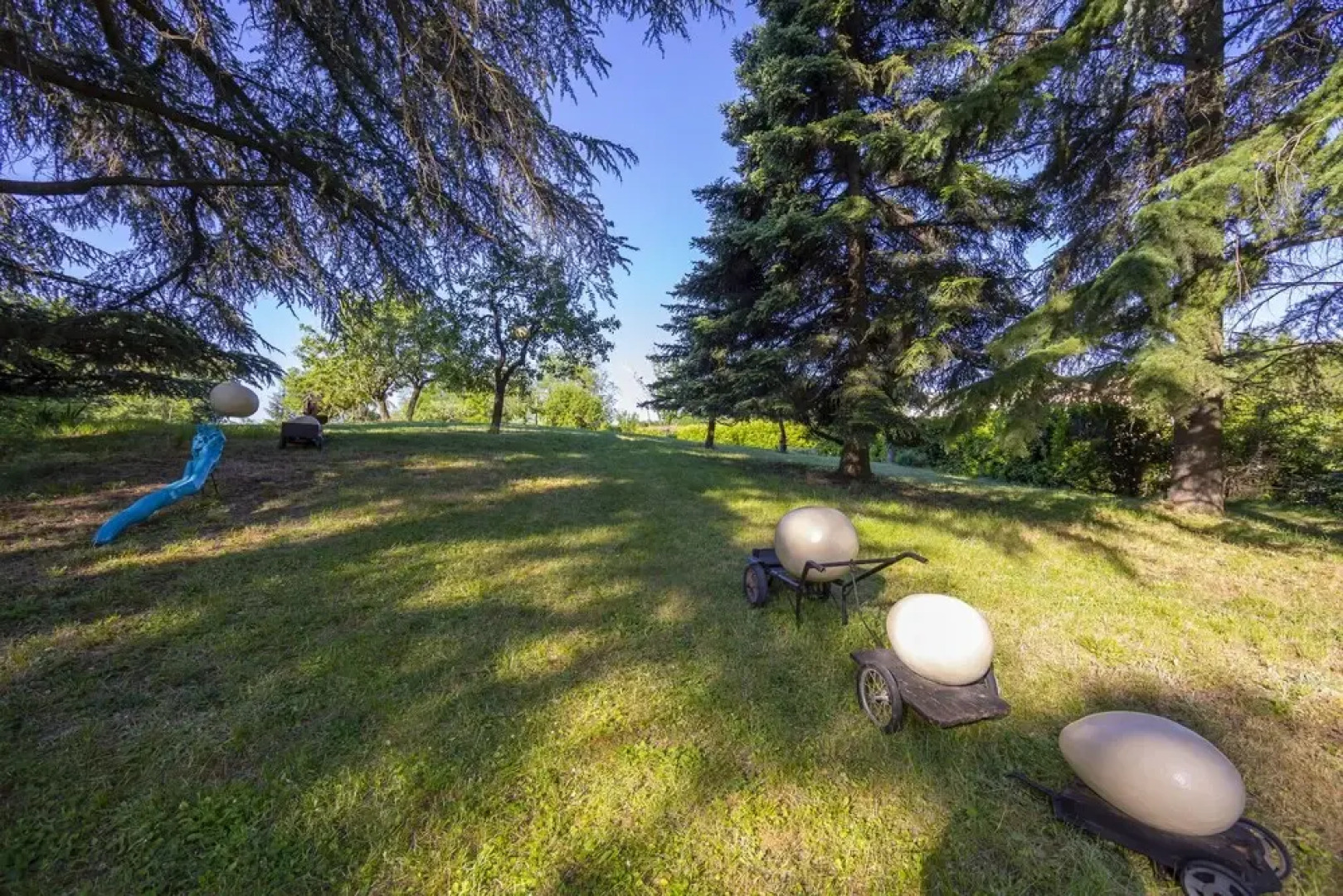 Le Zie - Castello Rocca Grimalda