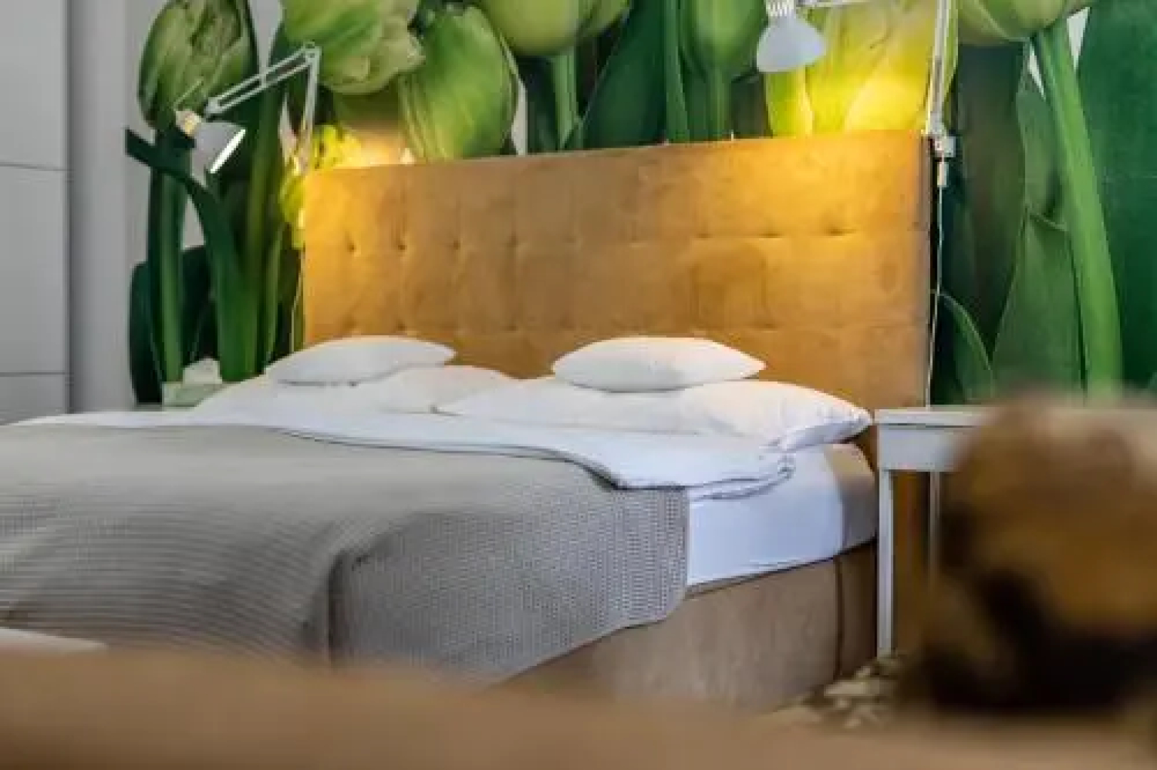 Palác Daun - Studio Apartments