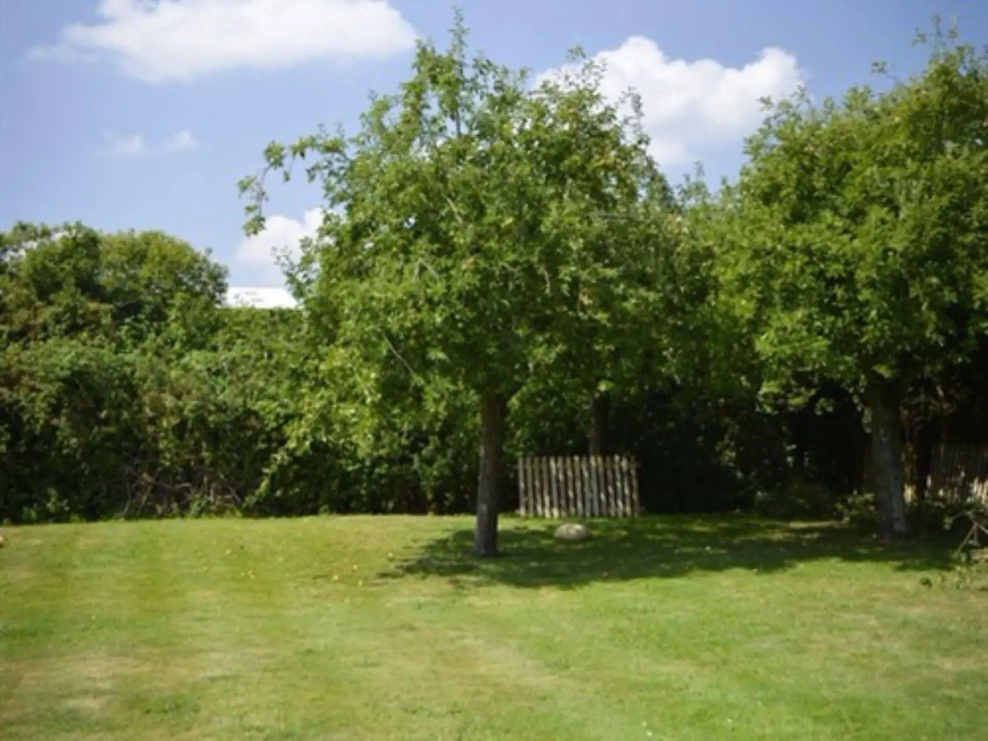 Crazy Fox Hurley Boutique Bed & Breakfast