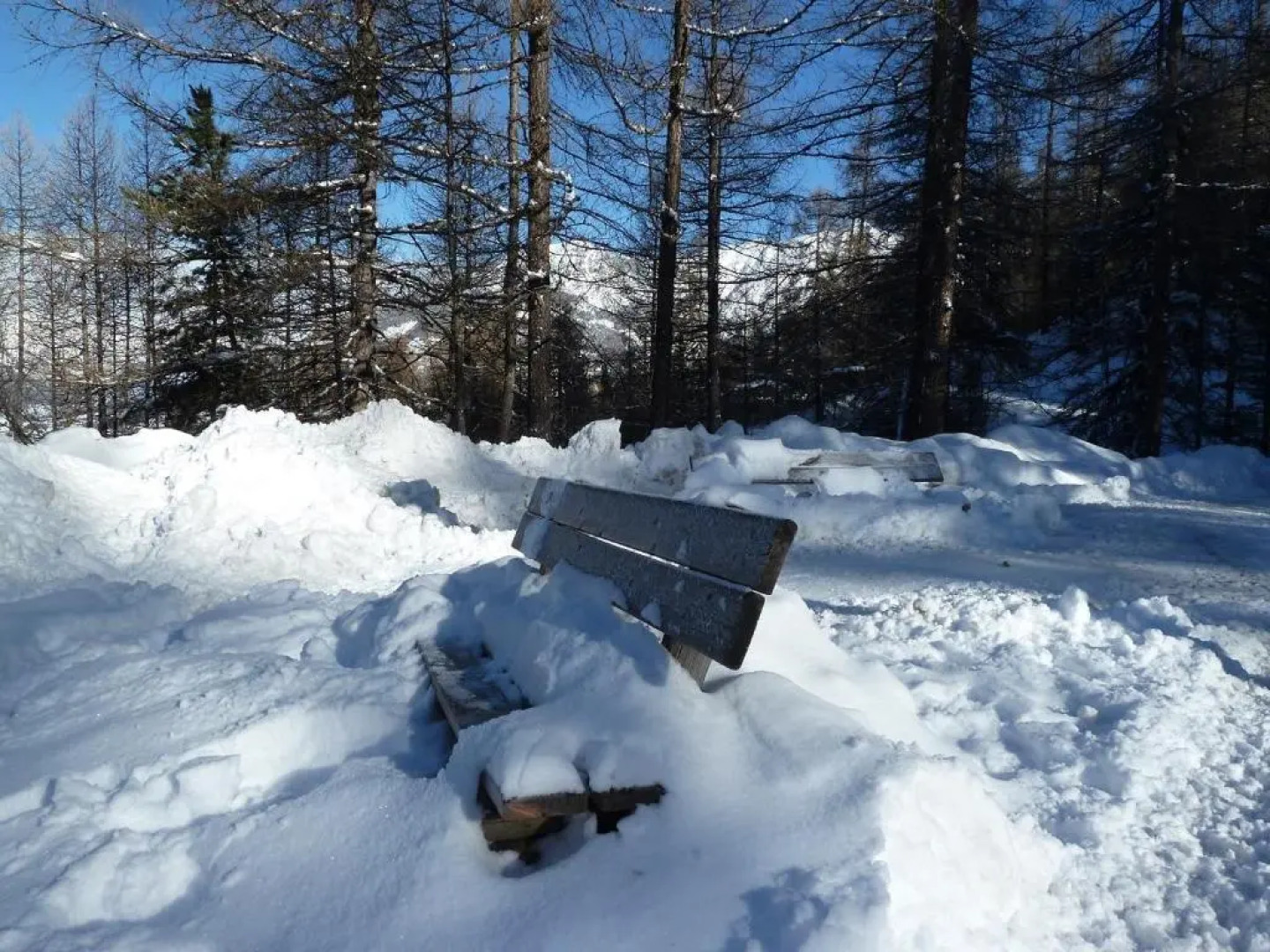 Appartement 6 personnes - Les Chalets de Bois Méan Bât. D - Station Orres1800
