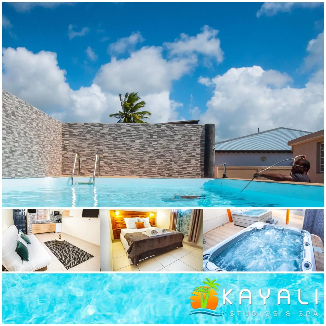 T3 Jacuzzis et piscine au centre ville de Port-Louis