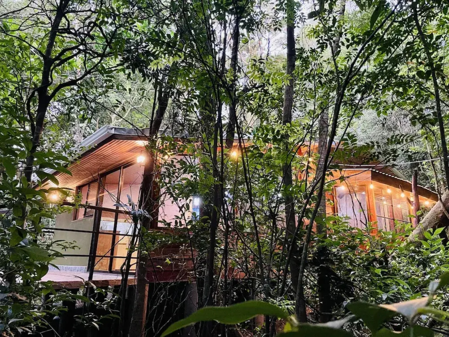 Cabañas La Montaña