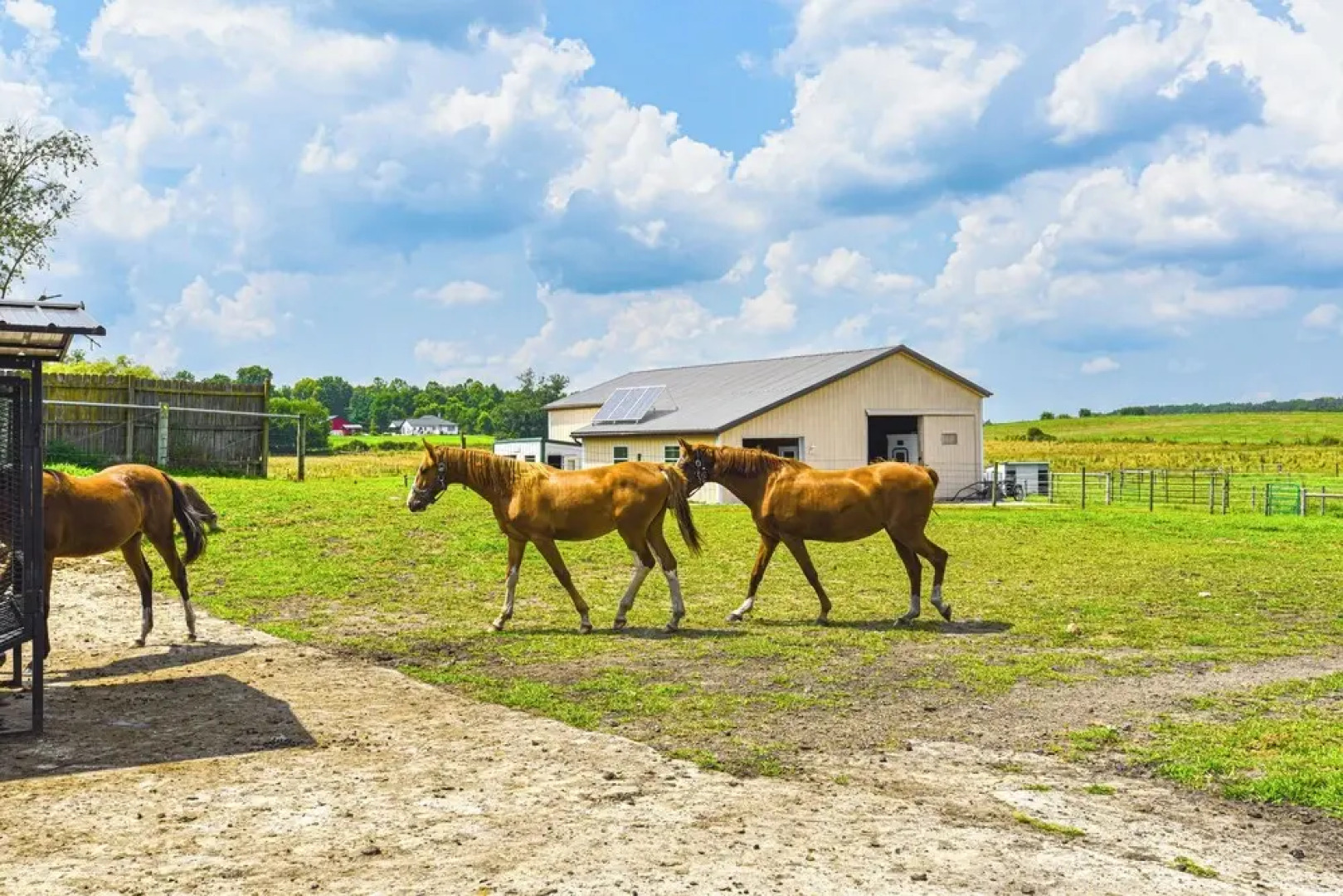 Bright Shipshewana Gem w/ Shuffleboard Table!