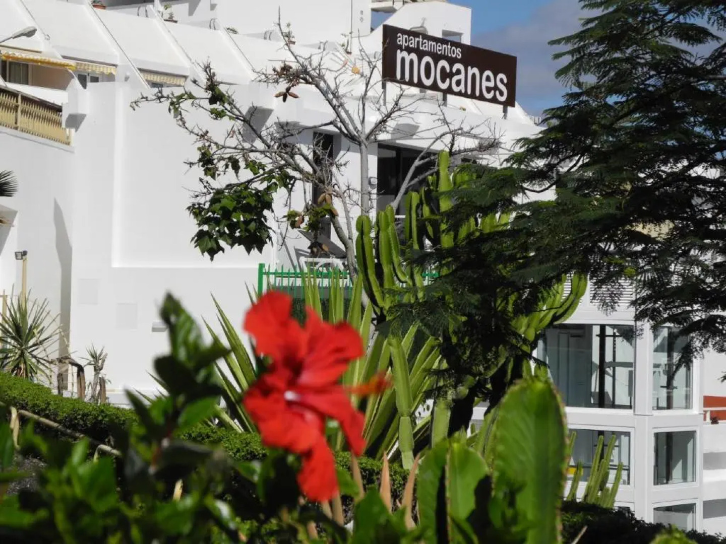 Apartamentos Los Mocanes