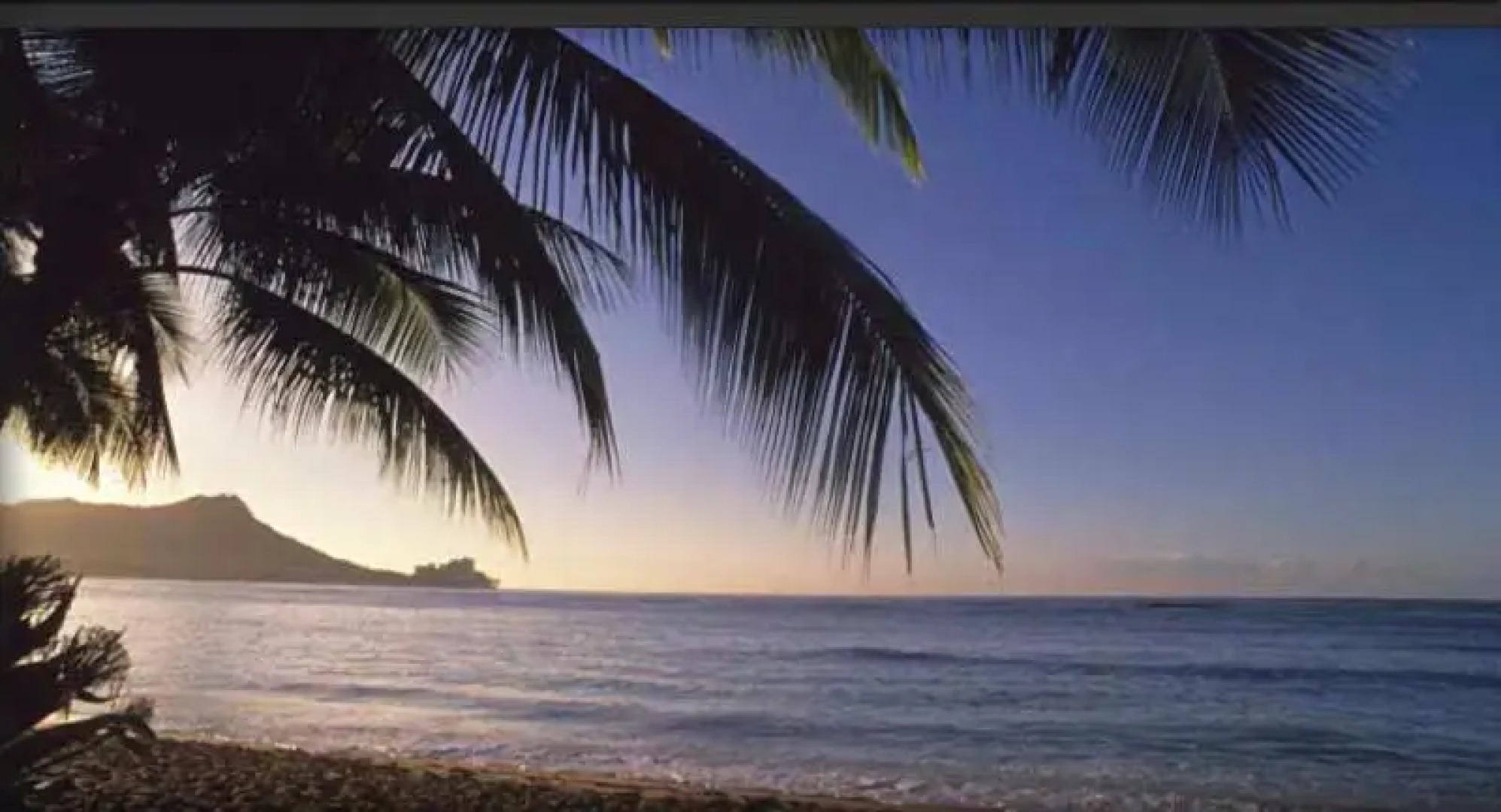 Jet Luxury @ The Trump Waikiki