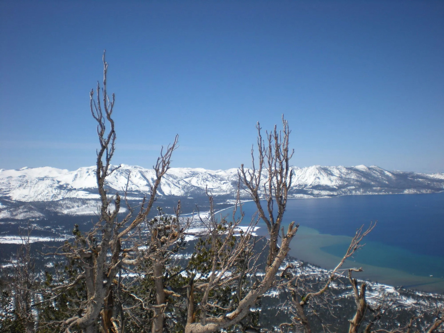 Ambassador Lake Tahoe