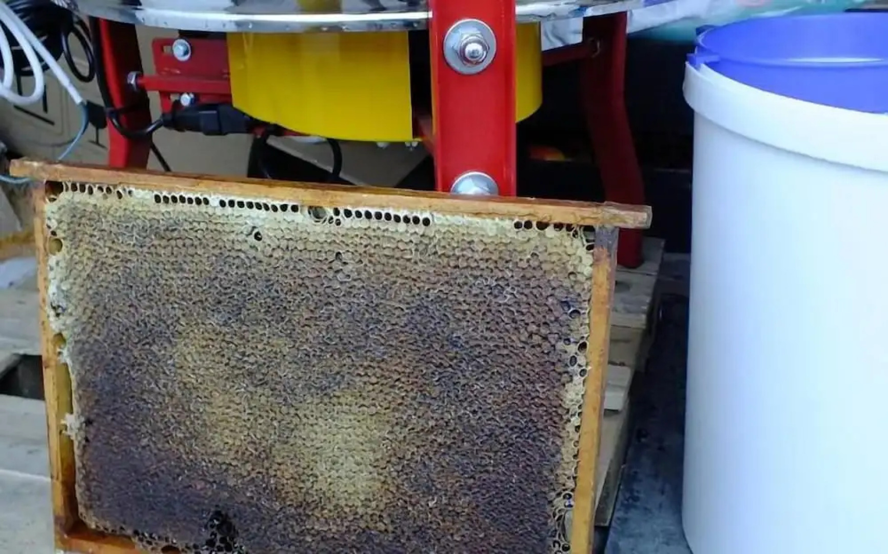 Agroturystyka Wielkie Leźno