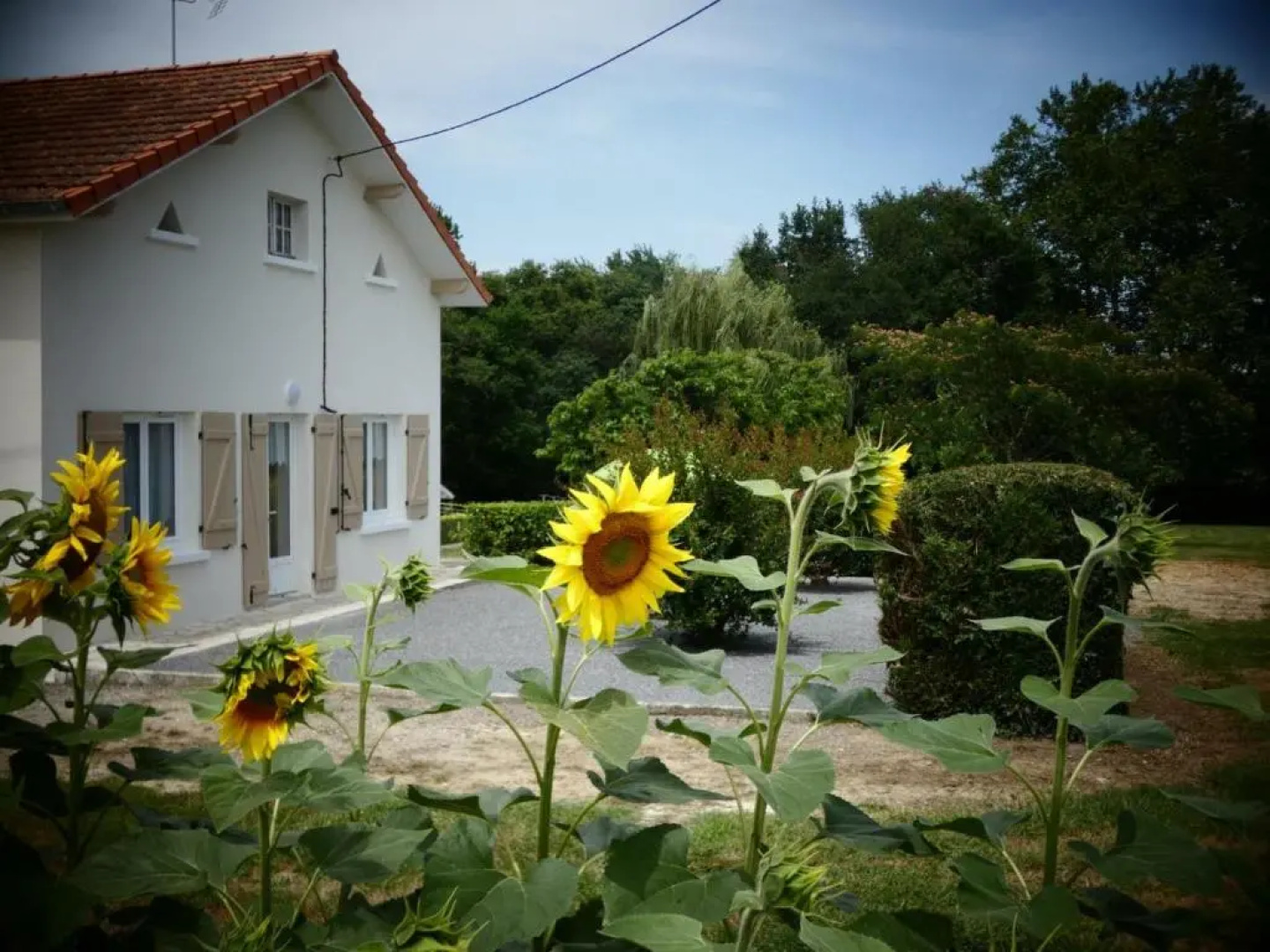 Gîte Angoumé, 3 pièces, 5 personnes - FR-1-360-499