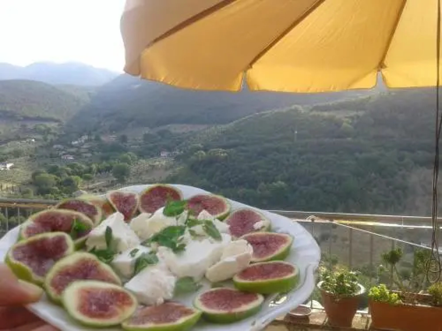 La Torretta Historical Home