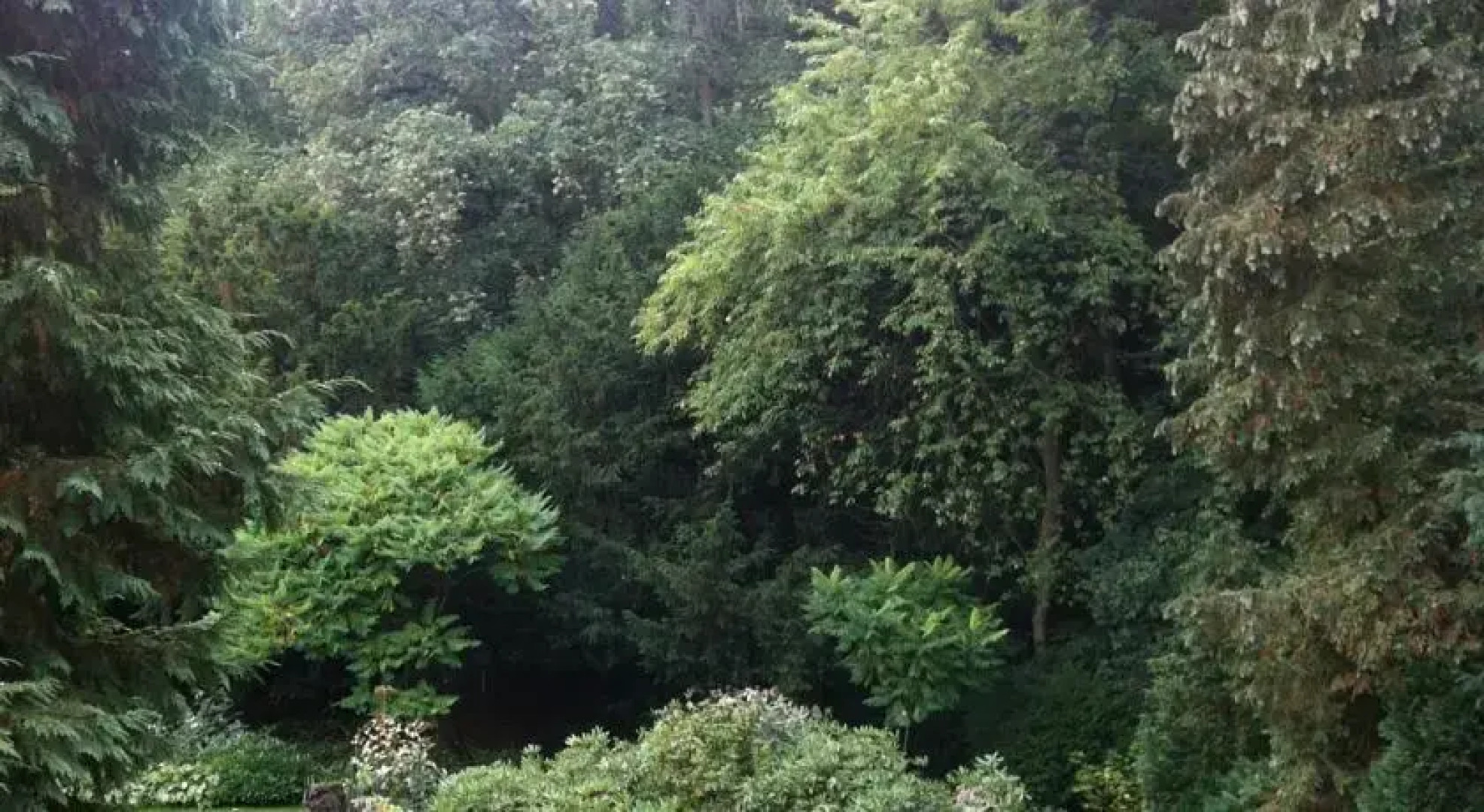 Landgoed Vogelenzang