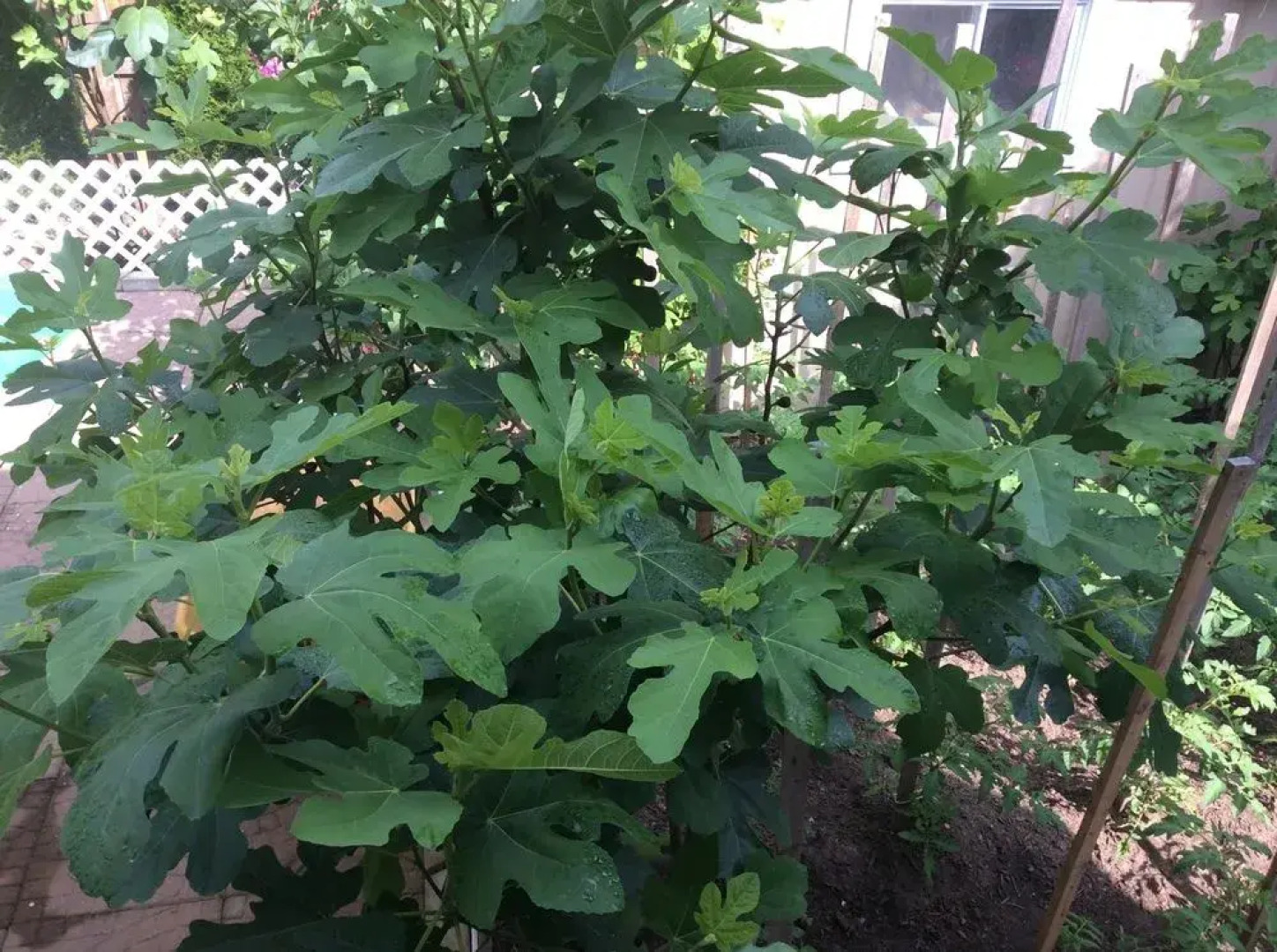 Via Veneto - Old Town