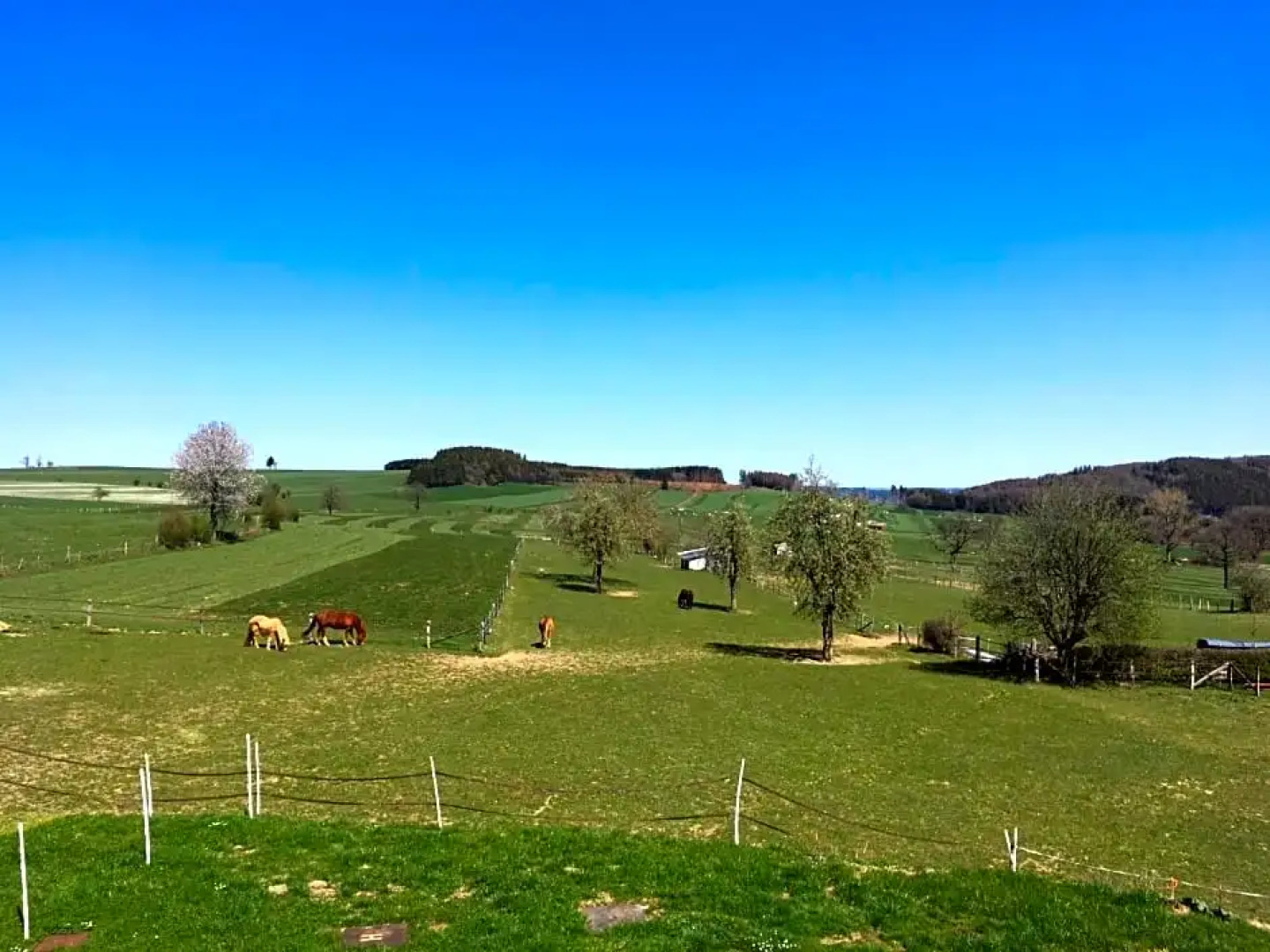 Pegasus II - Chambre B&B de luxe avec sauna privatif