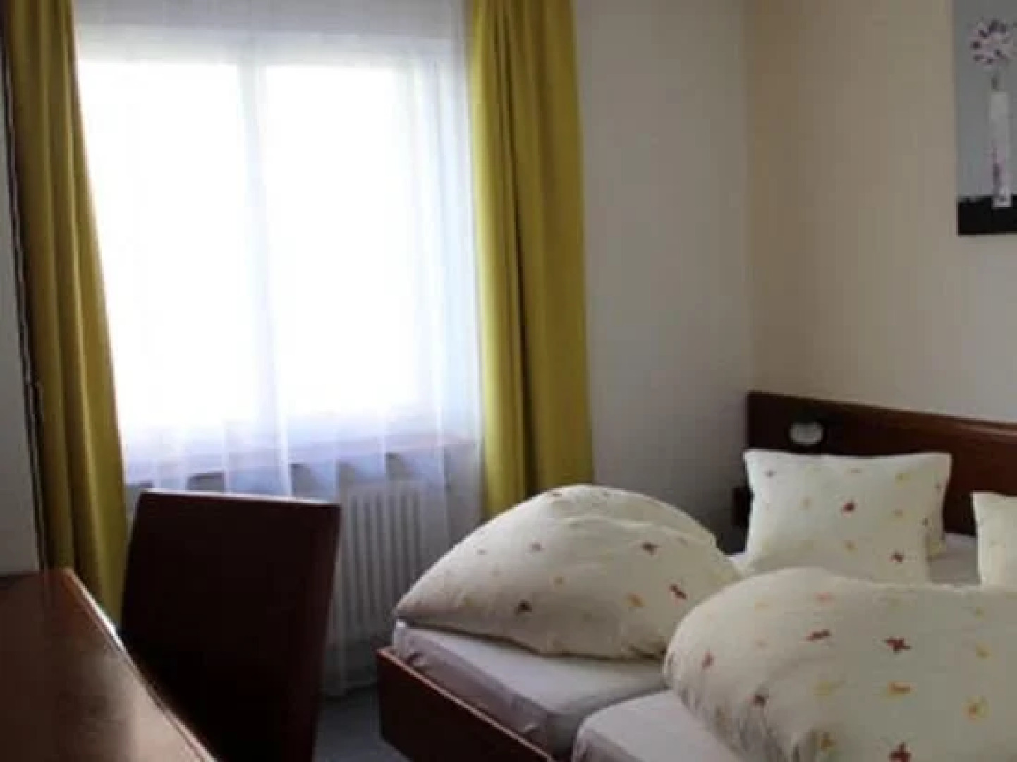 Hotel zum Roten Löwen