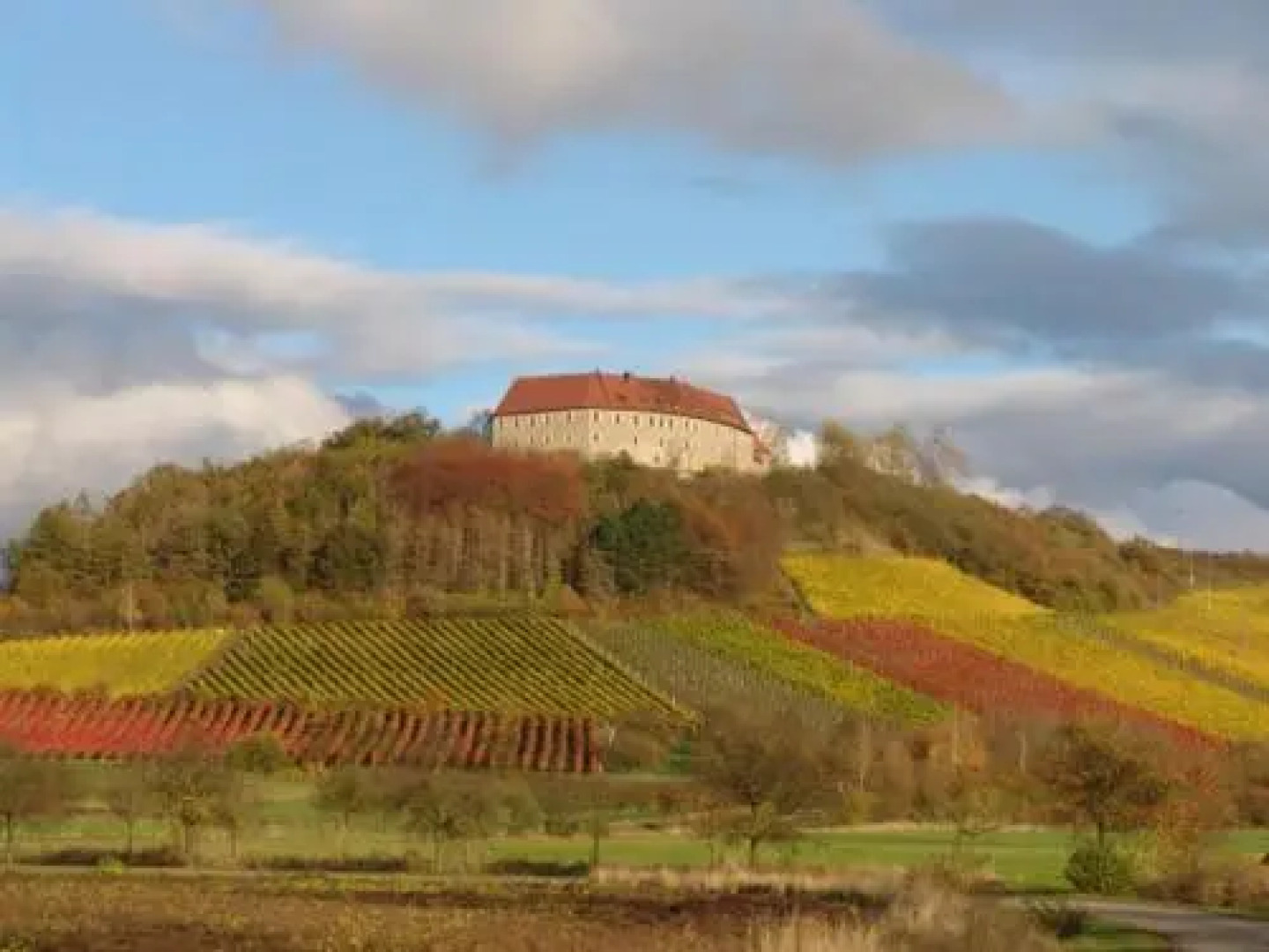 Schwarzer Adler Weingut