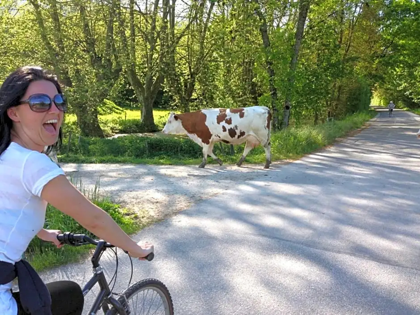 B&B Le Sourire du Lac