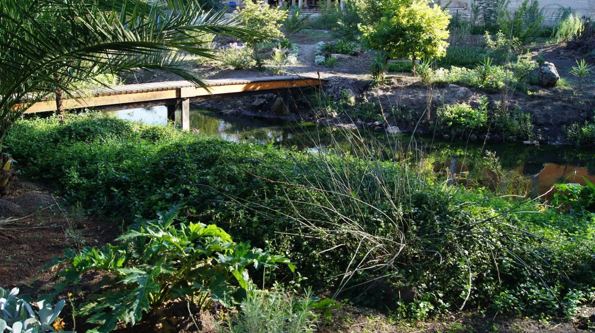 Cunningham Cottage Guest House