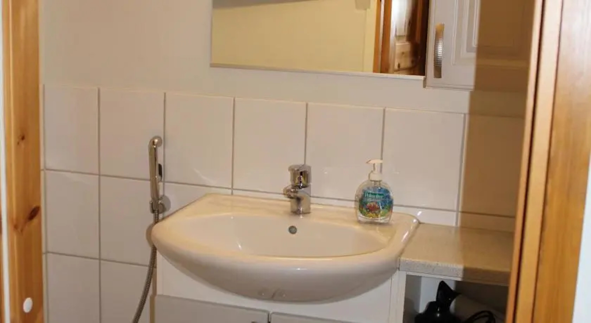 Alppi Nuppu Apartment