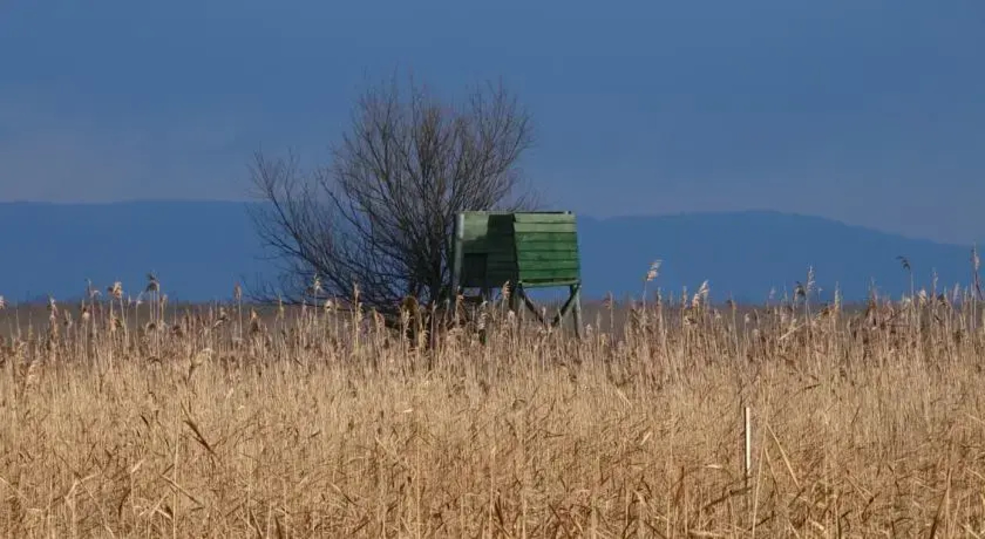 Dom gościnny Ptaszarnia