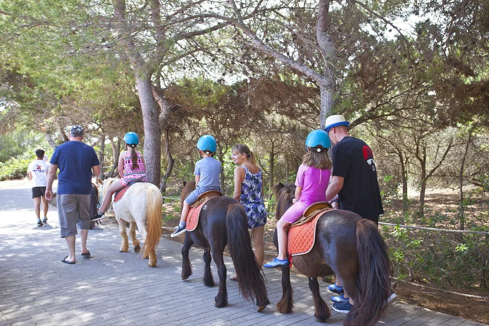 Apartamentos Seth Mestral y Llebeig