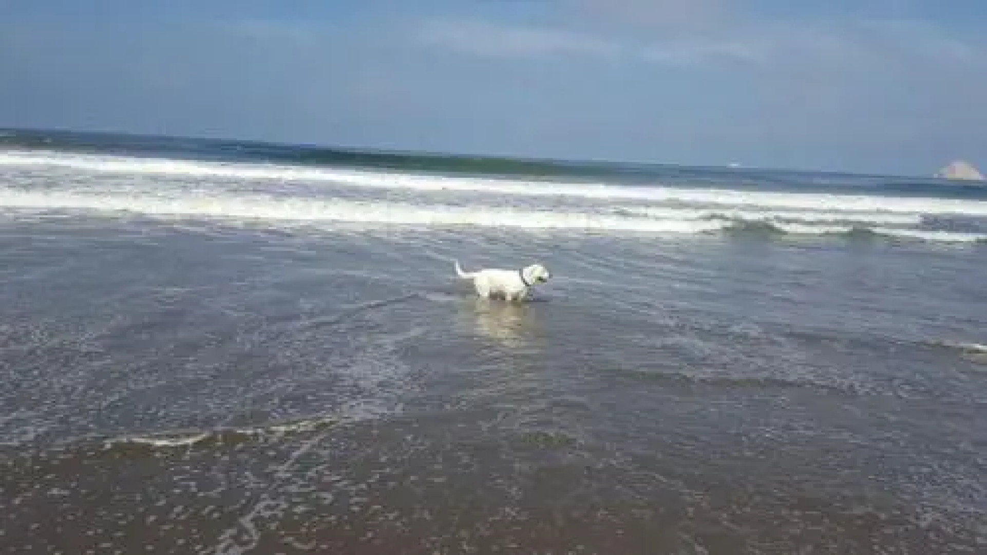 Merlin Beach Bar & Cafe