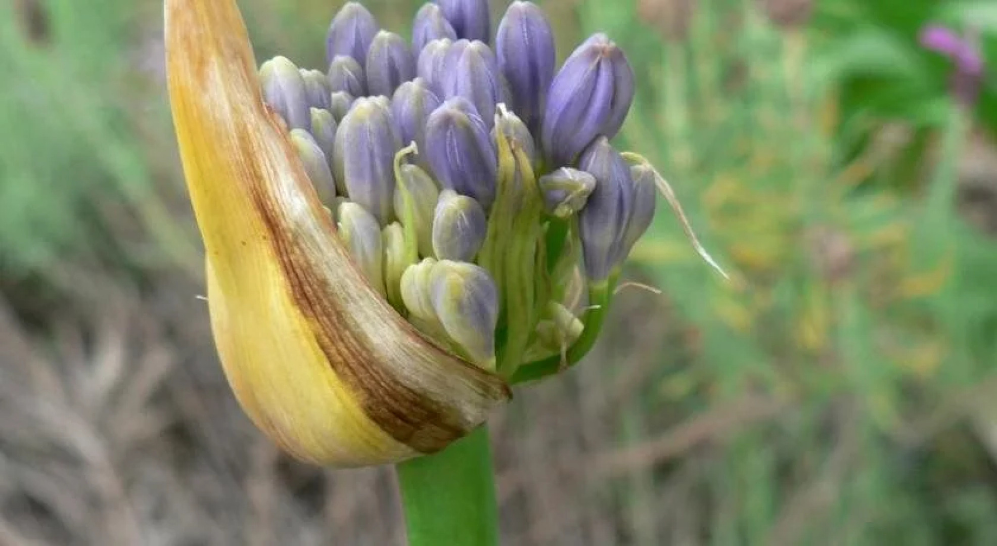 The Friendly Chat Bed and Breakfast