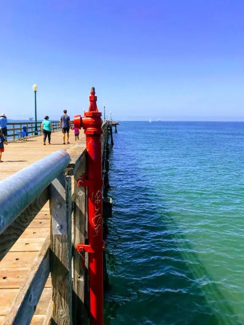 "California Dreamin'