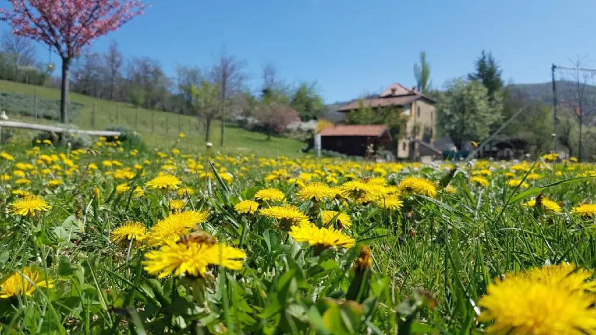 Agriturismo Fattoria Ca Di Sole