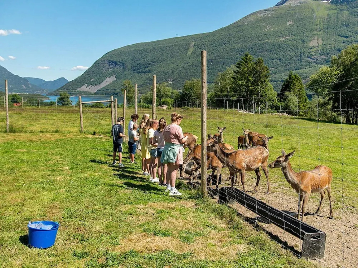 12 Person Holiday Home in Alfoten