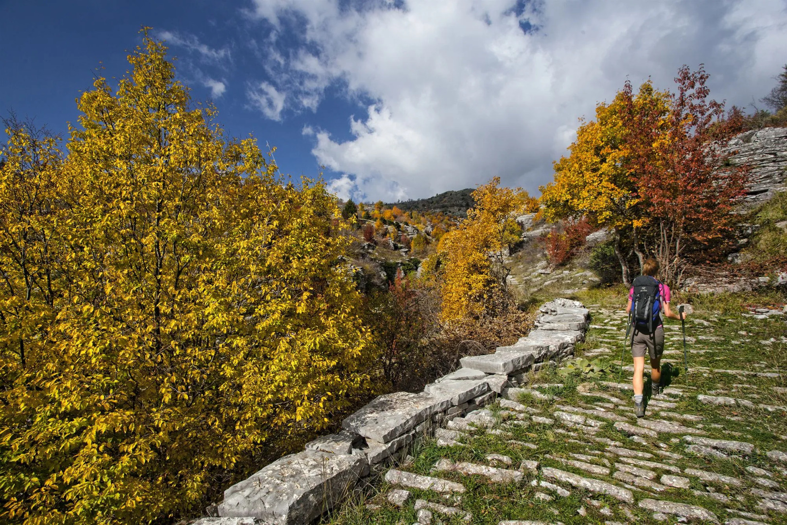 Epirus Palace Congress & Spa