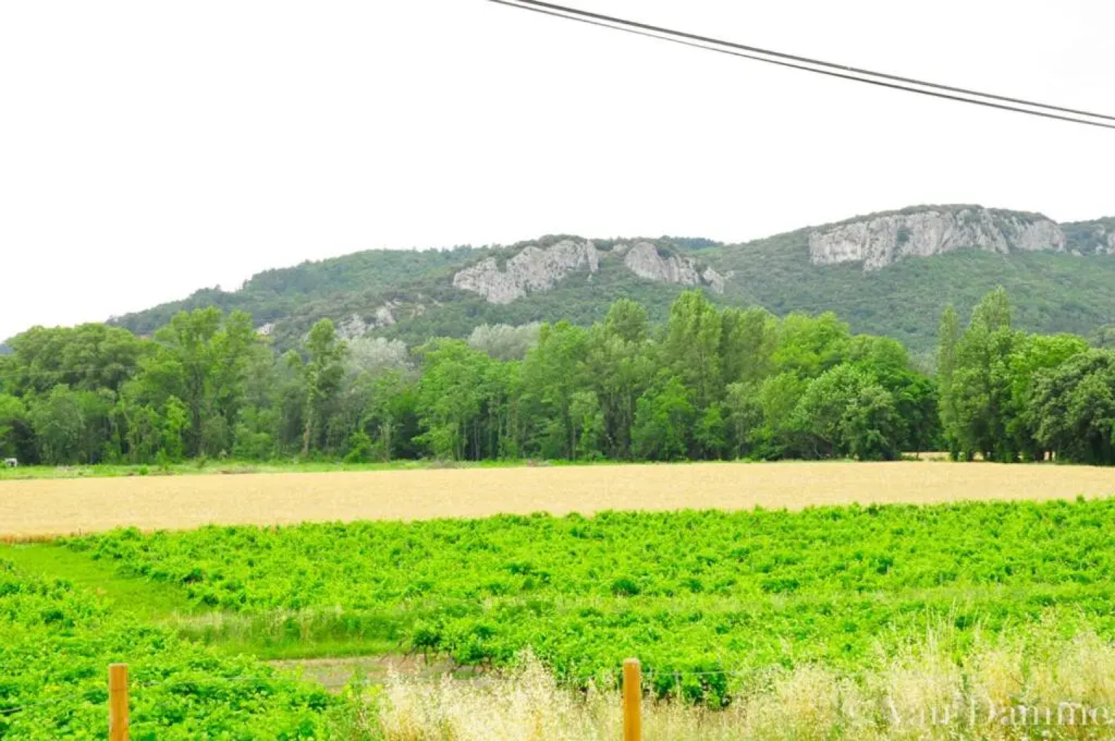 Gîtes du Domaine des Dames