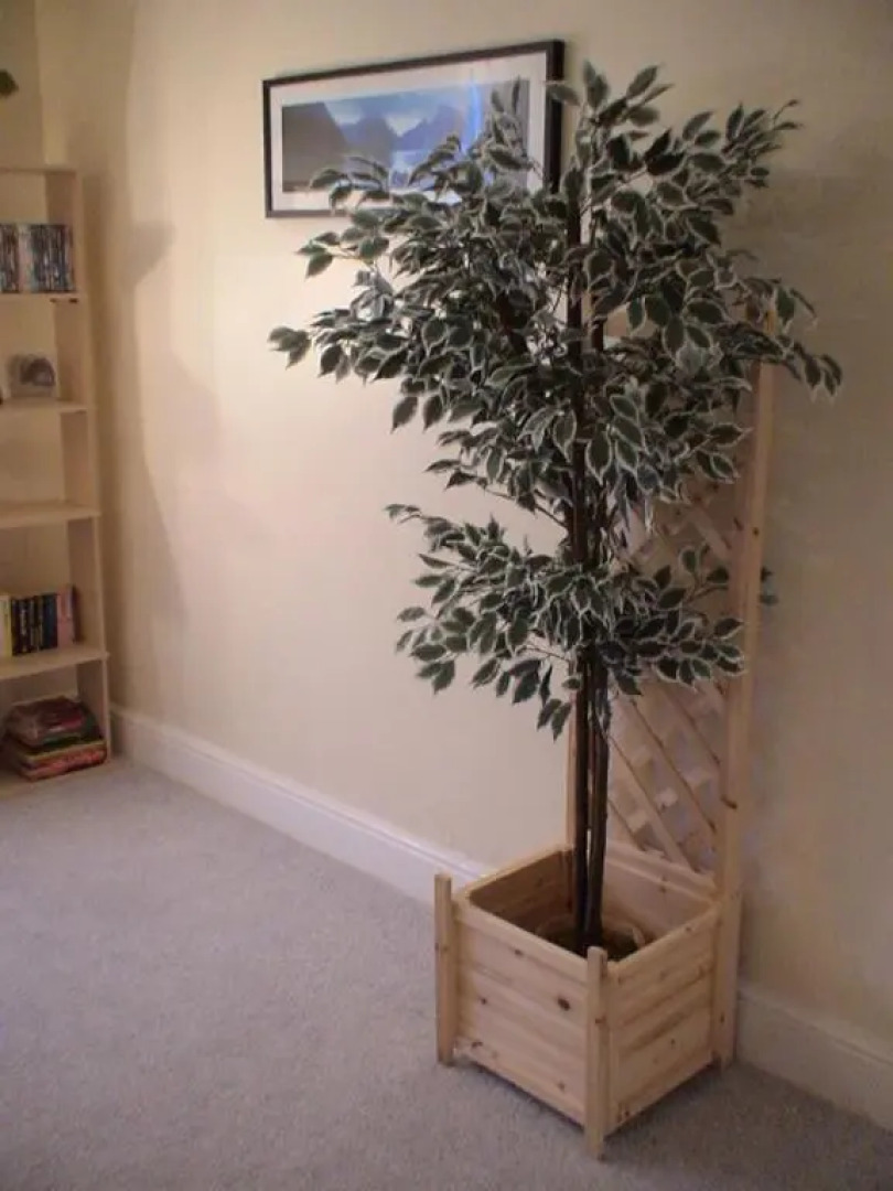 The Shady Corner, Flat 2, 16 Sandy Lane (Adults Only)