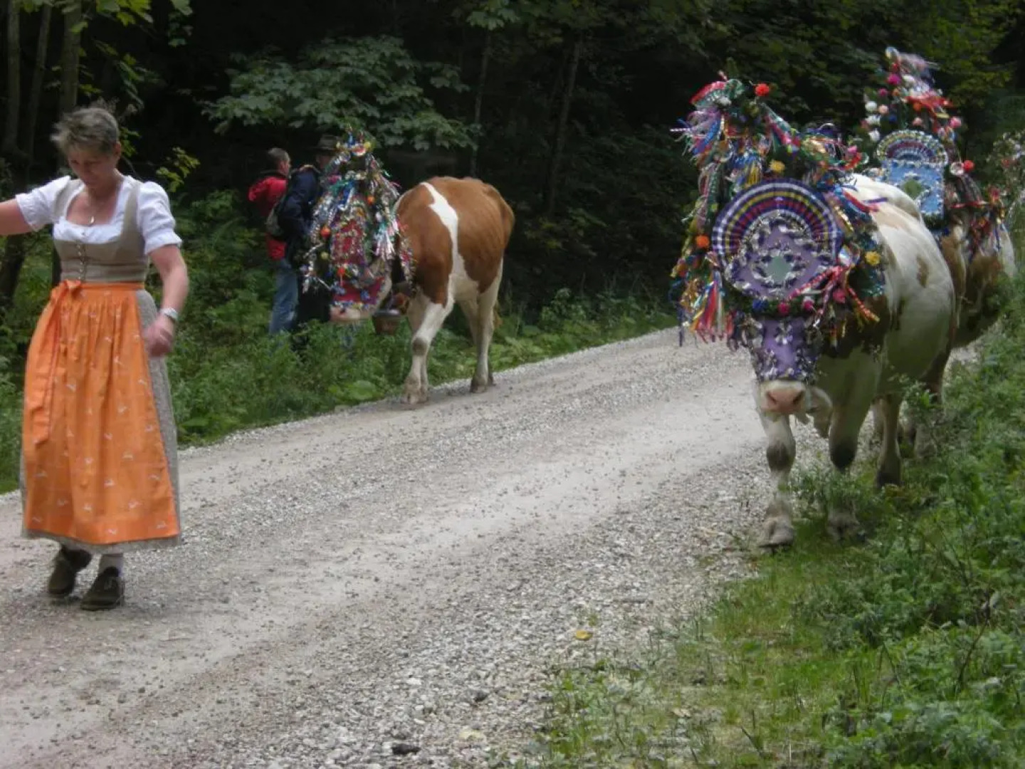 Ferienhaus Hintersee