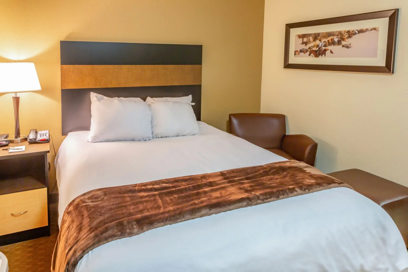 My Place Hotel Minot