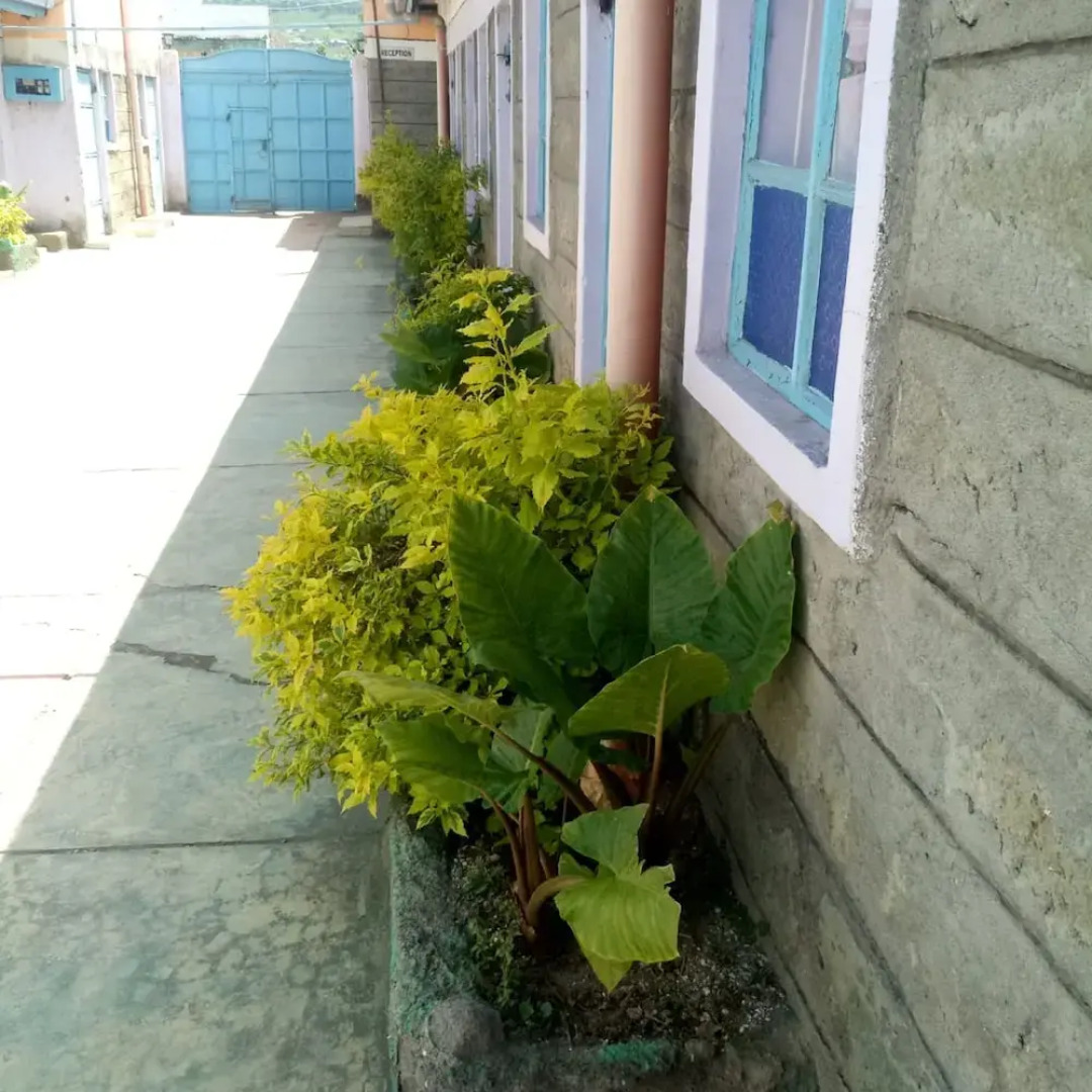 My Choice Guest House