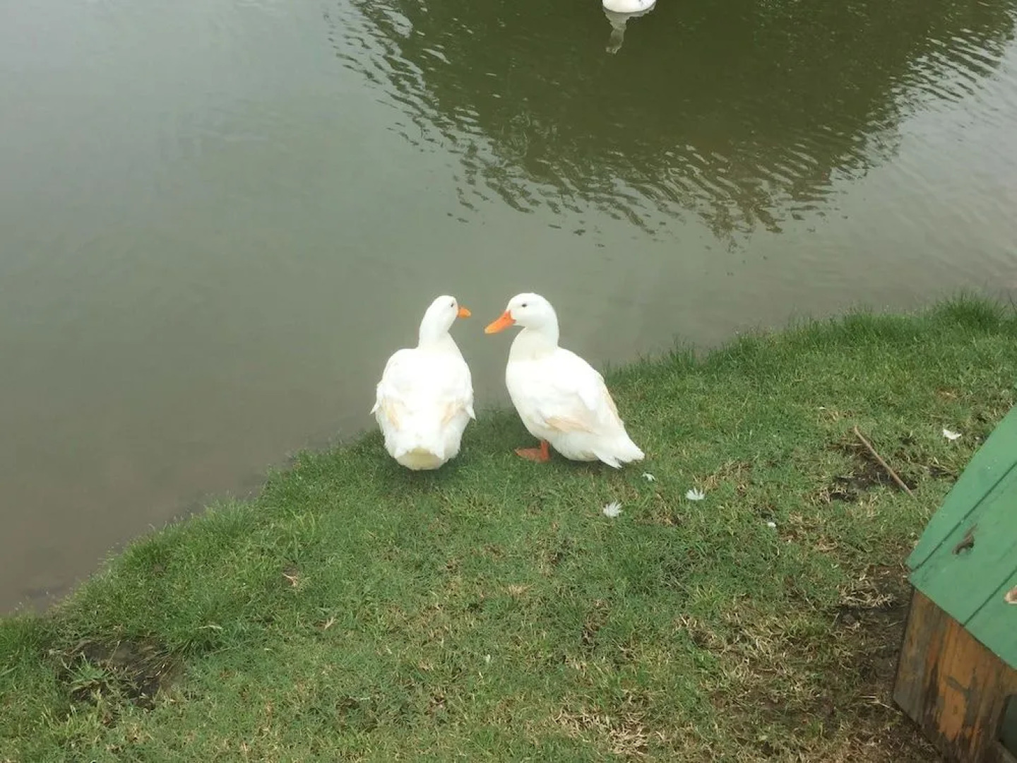 Winterville Residence Suites