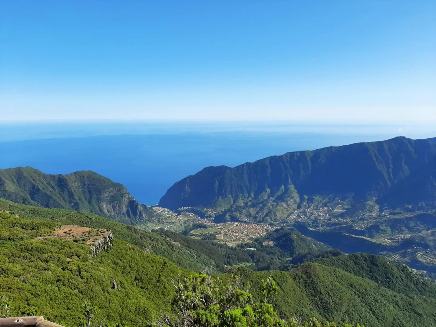 Pereira Place - The Dream