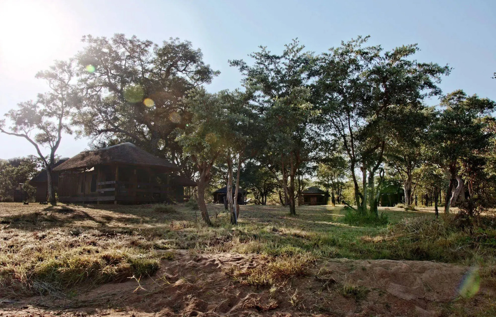 Shindzela Tented Safari Camp