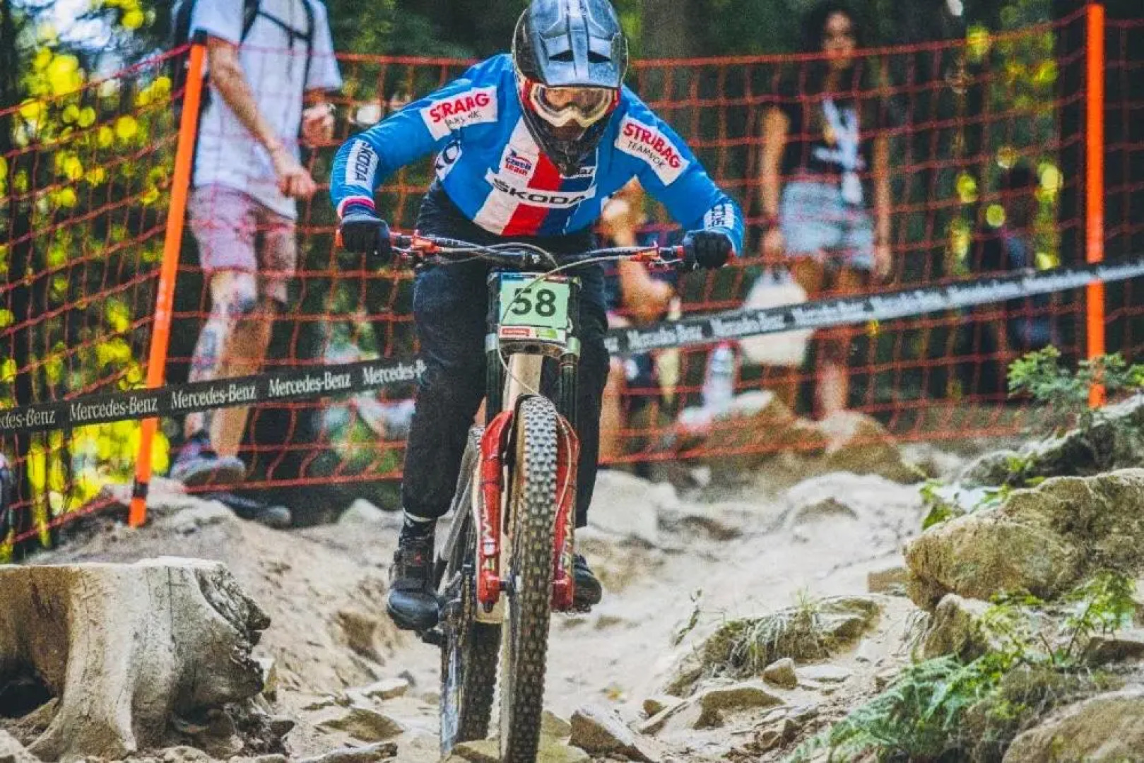 Guest house Stara lipa Tašner