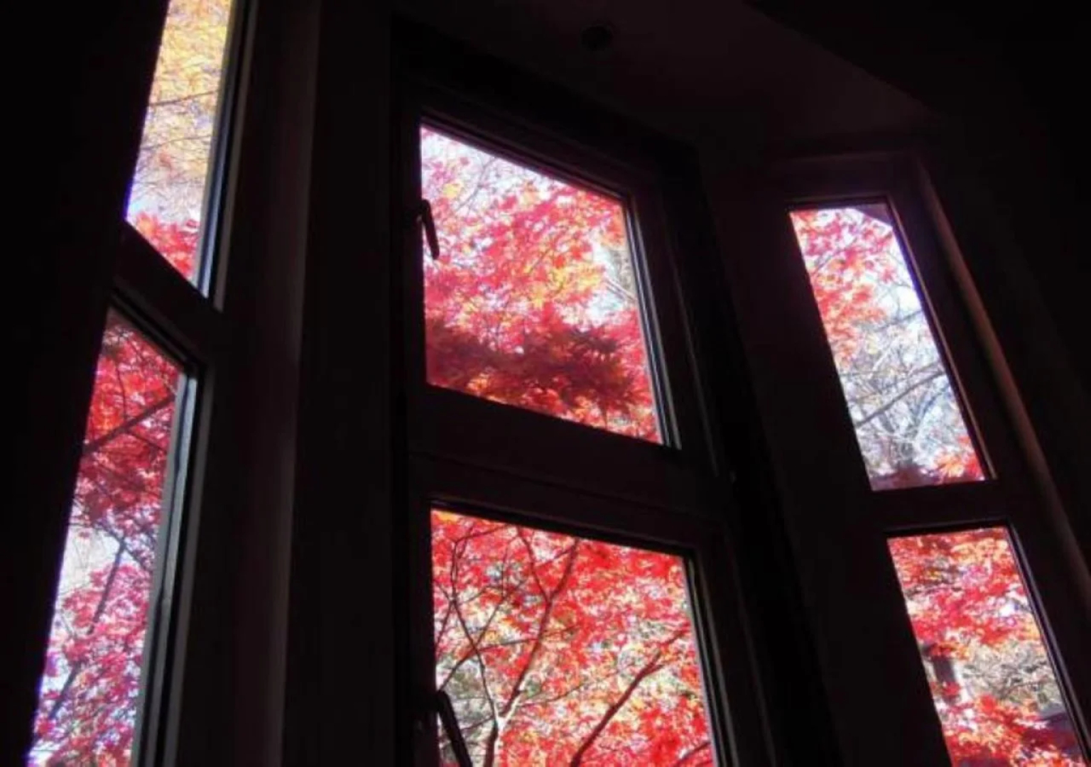 Bellscabin Guesthouse