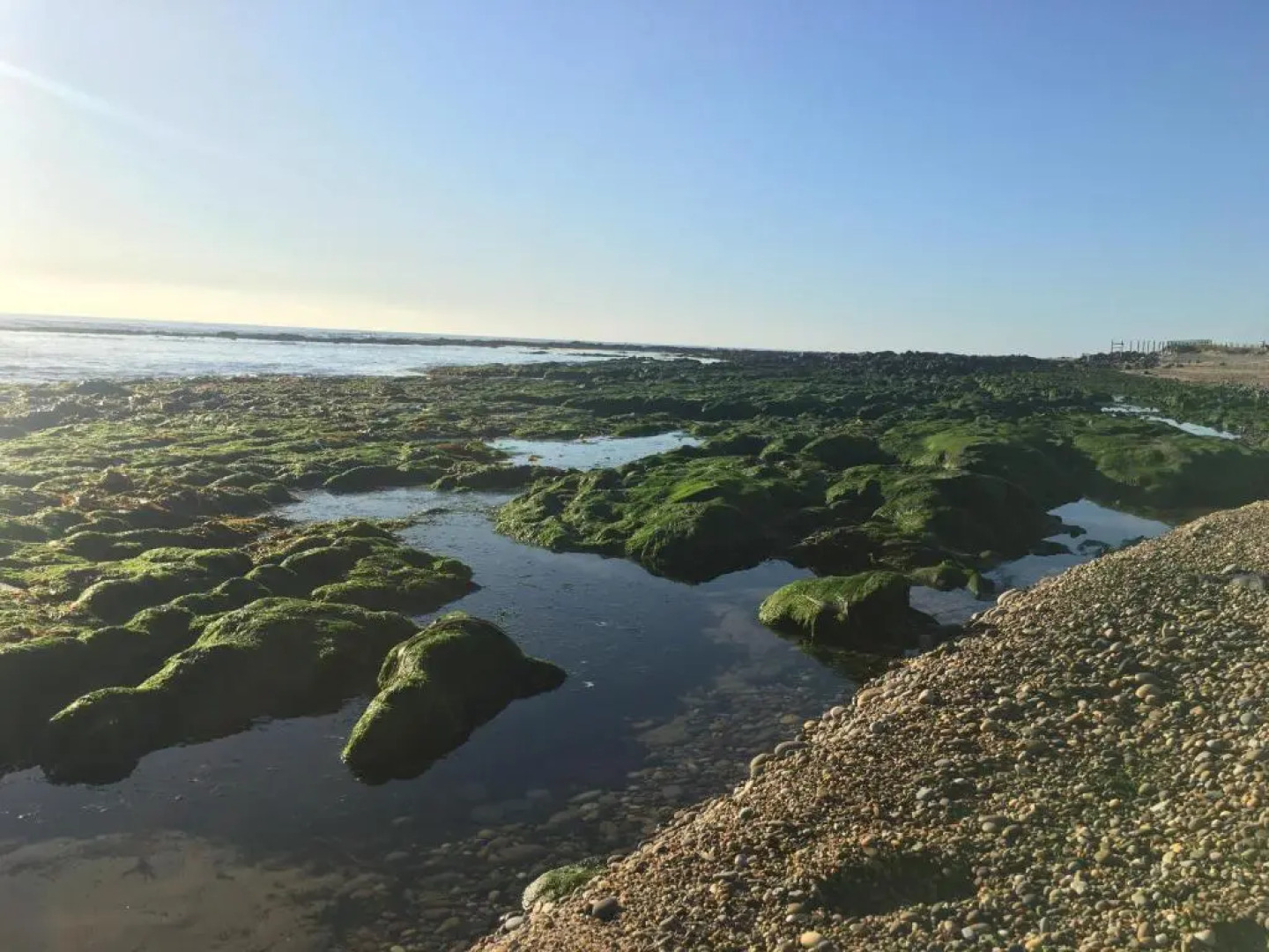 Spacious Modern Beach House - Esposende
