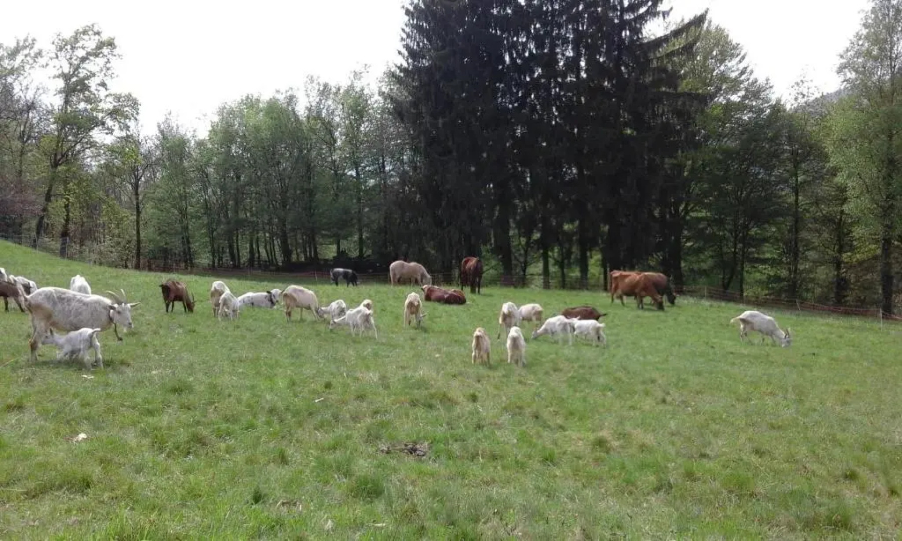 Agriturismo Villa Brugolta