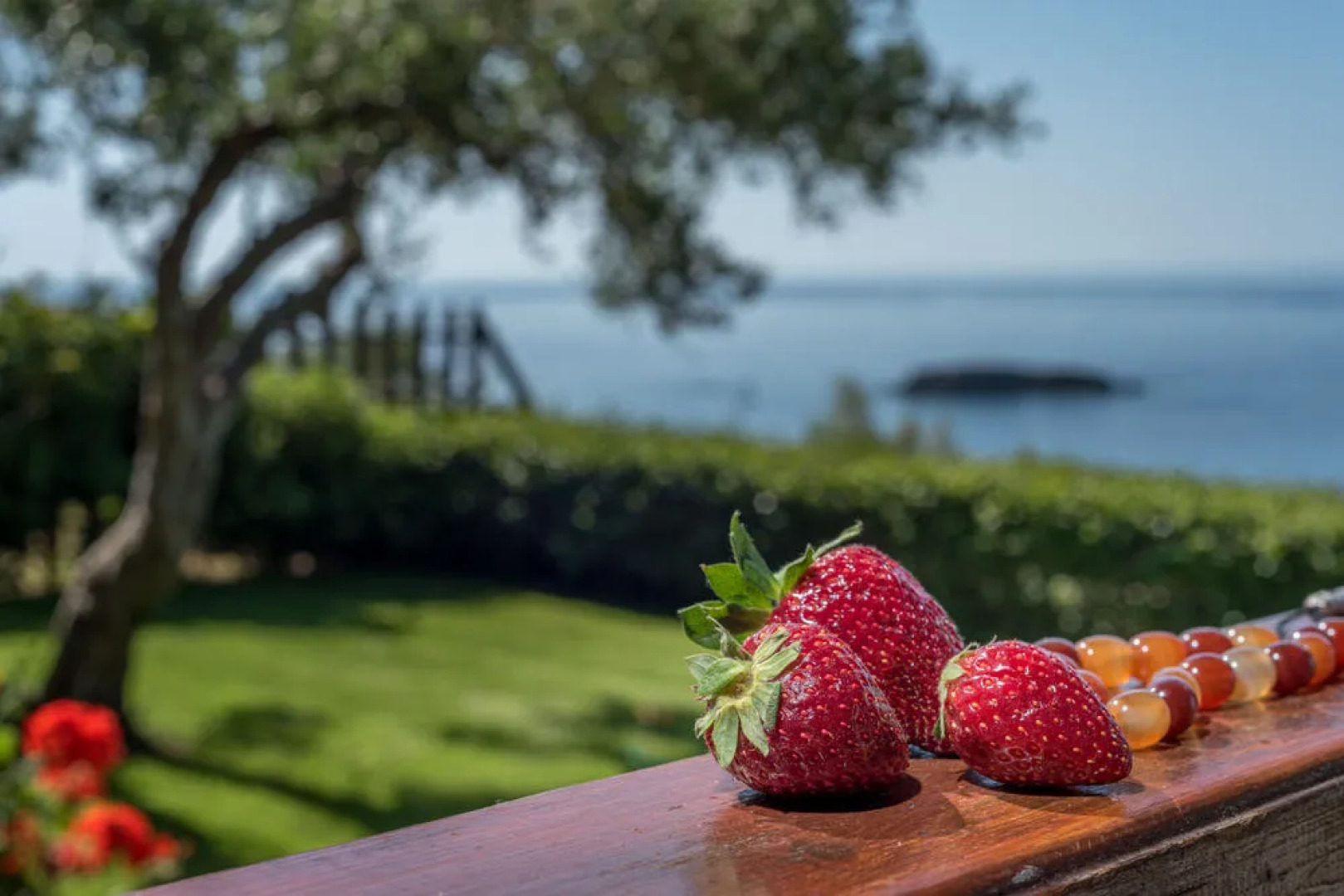 Ferma Solaris Apartments