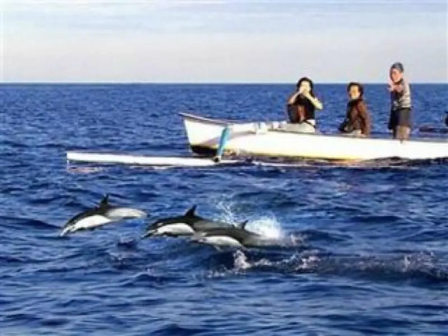 Collection O 90805 Aditya Beach Resort And Spa