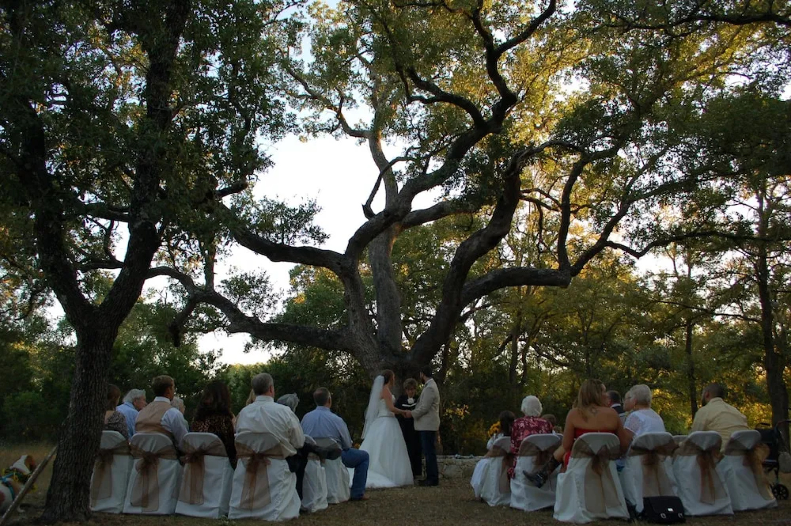 Twelve Oaks Hill Country Inn