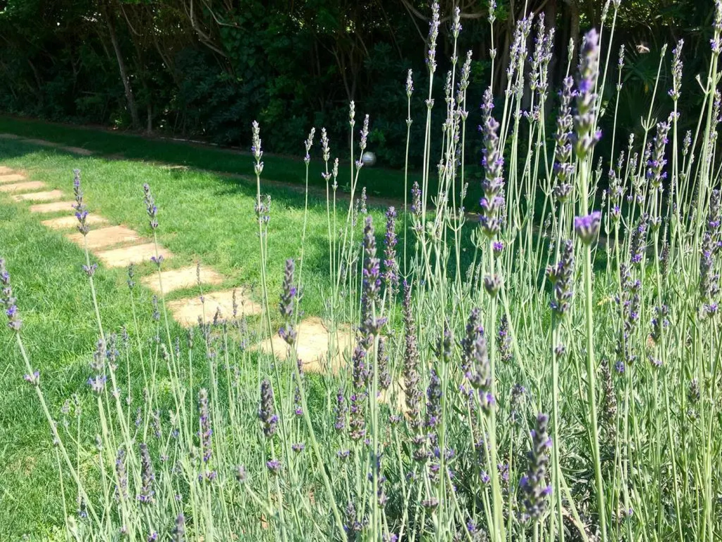 Holiday home Villa Tea